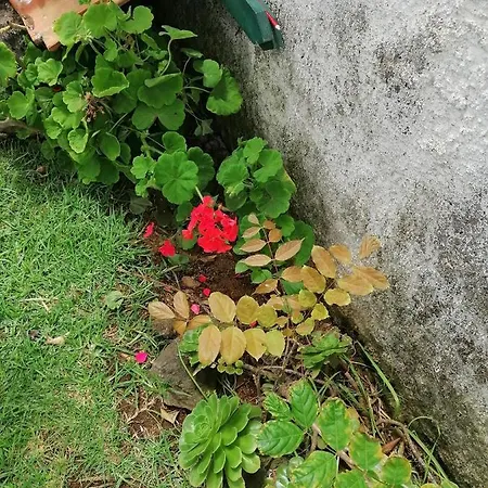 Apartment Varandas Miramar *