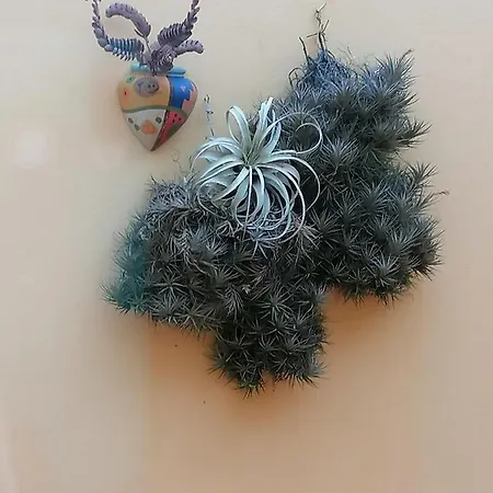 Varandas Miramar Apartman *