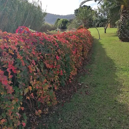 Varandas Miramar דירה *