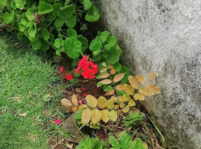 Appartamento Varandas Miramar *