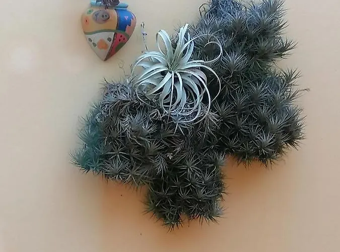 Varandas Miramar アパート *