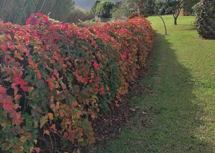 Varandas Miramar Daire *